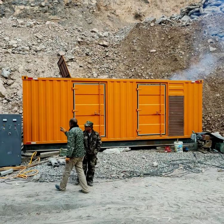 新县如何选择适合自己的 800KW 柴油发电机组？